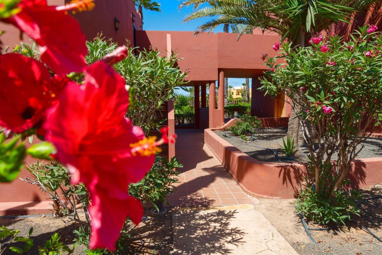 La Rosa Dei Venti Apartment Corralejo Exterior photo